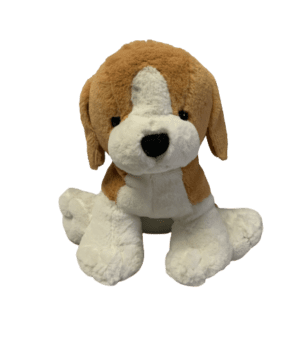 Beagle 7"
